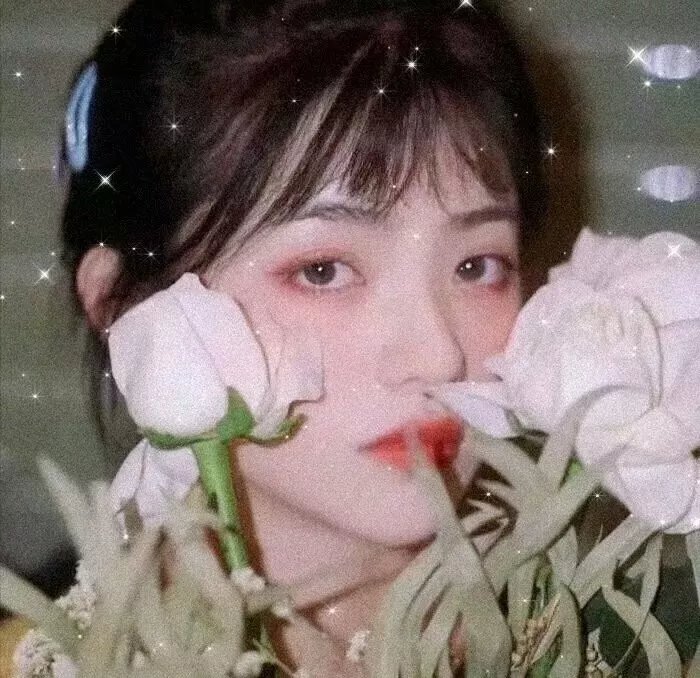 我的吸血鬼老板
