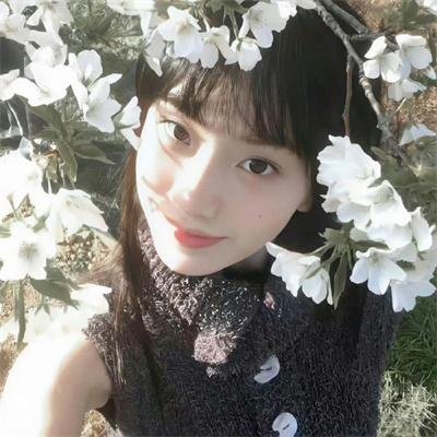 霹雳侠影之轰动武林